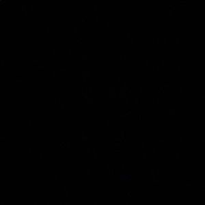 Meet your Posher, Edel